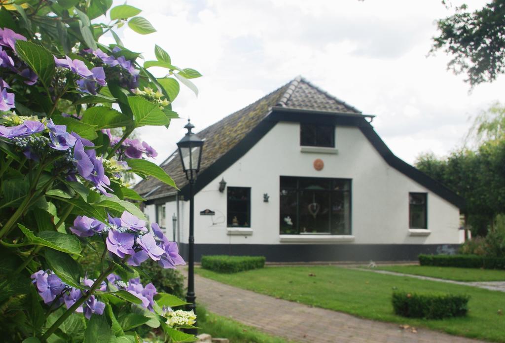 Bed&Breakfast 'T Eikeltje Hollandscheveld Exteriör bild